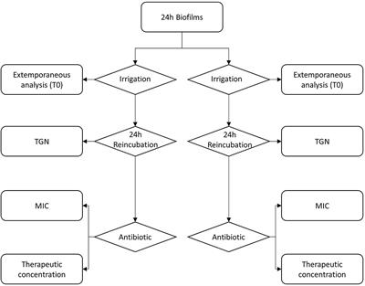 Synergistic Effects of Pulsed Lavage and Antimicrobial Therapy Against Staphylococcus aureus Biofilms in an in-vitro Model
